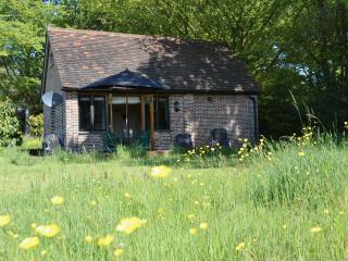 The Cowstall - Framfield - 4