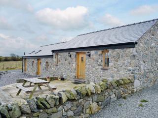 The Top Barn - Coedana - 0