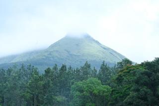 Hill Shadow - Mountain view and Swimming Pool - Chikmagalūr - 0