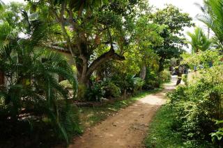 Tandem Guesthouse - Hikkaduwa - 3