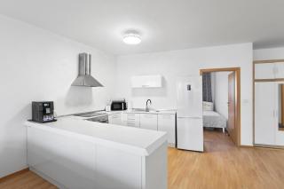 Apartment Puma v centre Piešťan - Piešťany - 4