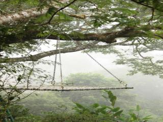 Annapara Homestay in Vythiri - Wayanad - 6