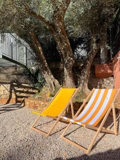 Chalet Provençal au cœur du Var - Le Luc - 3
