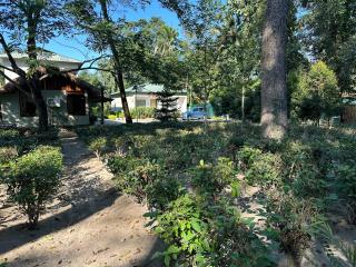 Jungleciti House, Kaziranga National Park - Kāziranga - 3