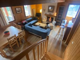Chalet Aster - Germ - 8