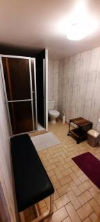 plain-pied proche base de loisirs et voie verte - Saulxures-sur-Moselotte - 5
