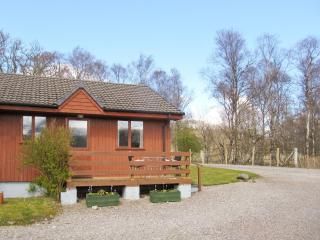 Birch Lodge - 28880 - Torcastle - 0