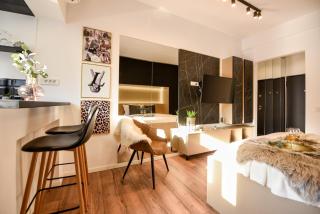 Calea Victoriei Elegance - Modern Studio - Bucarest - 3