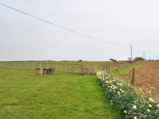 Appletree - 28555 - 8