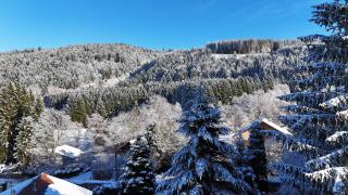 CHALET LES PRIMEVÈRES 4 Étoiles - Gerbépal - 8