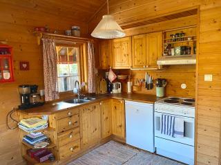 Haukeli Mountain Cabin - 1