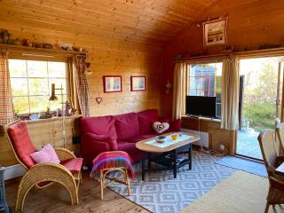 Haukeli Mountain Cabin - 4