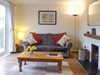Palm Leas - E3587 - Ilfracombe - 9