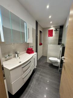 Panoramablick Tscheltsch - 1