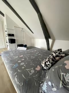 Maison familiale avec extérieur Ménage et linges inclus - Rouen - 1
