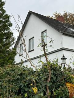 Inspiration - Schwanewede - 5