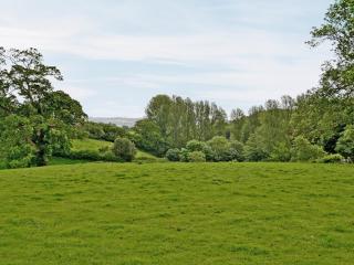 Blackberie Cottage - E2389 - Stoke Abbott - 2