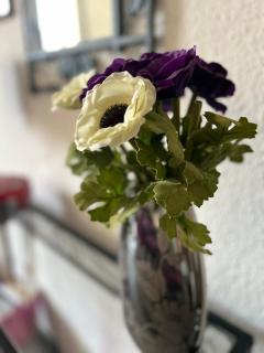 Appartement spacieux en Provence - Châteaurenard - 3