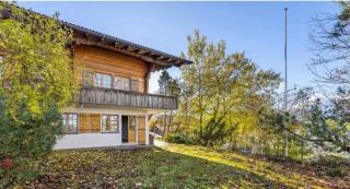 Chalet In The Alps With Mountain View Garden - Reichenbach - 7