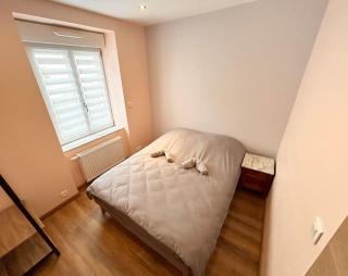 Appartement neuf Mulhouse - Mulhouse - 2