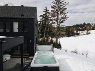 Le Nordet - SPA & Play room - 9