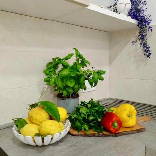 YourHome - Alisea Home - Nerano - 4
