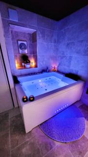 - LA SUITE DELOS - JACUZZI 2 PLACES - CENTRE VILLE A PIED - LIT QUEEN SIZE - PARKING PRIVÉE - WIFI - City Center within walking distance - - 4