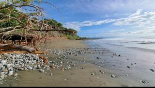 Four Monkeys Eco Lodge - Jungle & Beach - Cabo Matapalo - 8