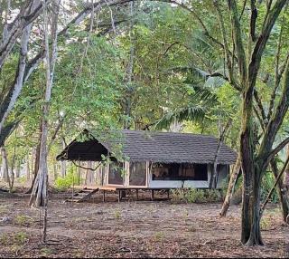 Four Monkeys Eco Lodge - Jungle & Beach - Cabo Matapalo - 7