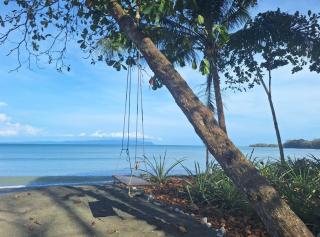 Four Monkeys Eco Lodge - Jungle & Beach - Cabo Matapalo - 4