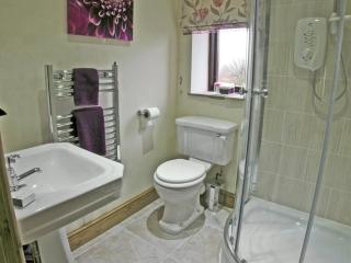 Rundales Cottage - Appleby - 3