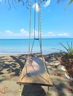 Four Monkeys Eco Lodge - Jungle & Beach - Cabo Matapalo - 3
