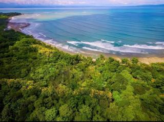 Four Monkeys Eco Lodge - Jungle & Beach - Cabo Matapalo - 2