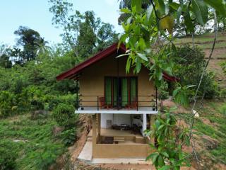 Sunshine Forest Lodge - Sinharaja - 2