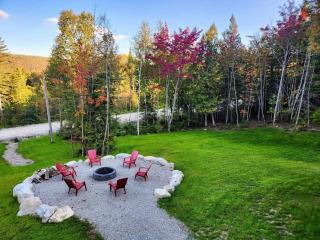 Chalet Isatis - SPA - Access to the Lake - 7