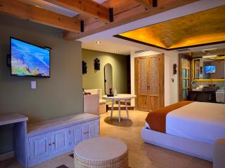 Hotel Boutique Casa Laja - San Miguel de Allende - 0