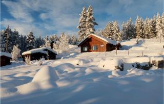 Holiday Home Heidal Bakketun - 4