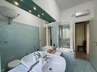 Hydrangeas Flat in Centocelle - 6