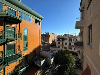 Hydrangeas Flat in Centocelle - 7