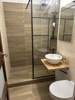 Apartament centrul istoric - 1