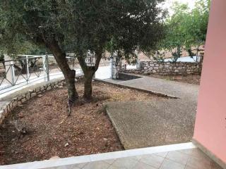 Under the pine tree - Divarata - 3