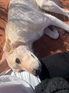 Camille WadiRum Camp - 6