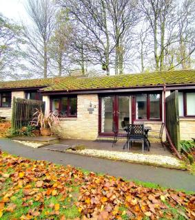 Woodland View - Families & Pets - 0