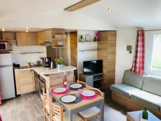 Mobil home IRM Excellence dans parc Natura 2000 Lac des rêves piscine ect sous fun pass - Lattes - 1