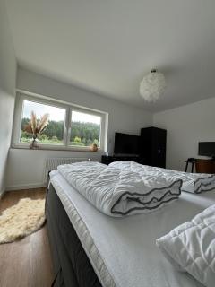 Haus am Wald Willingen - Willingen - 3