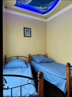 Dzoratun Dsegh - Dsegh - 6