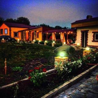 Dzoratun Dsegh - Dsegh - 5