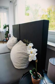 LiRo Apartments Oberstrasse Mülheim - Mülheim an der Ruhr - 6