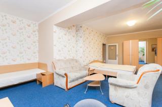 Hotel Grand - Tanvald - 7