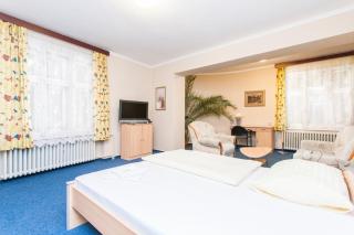 Hotel Grand - Tanvald - 6